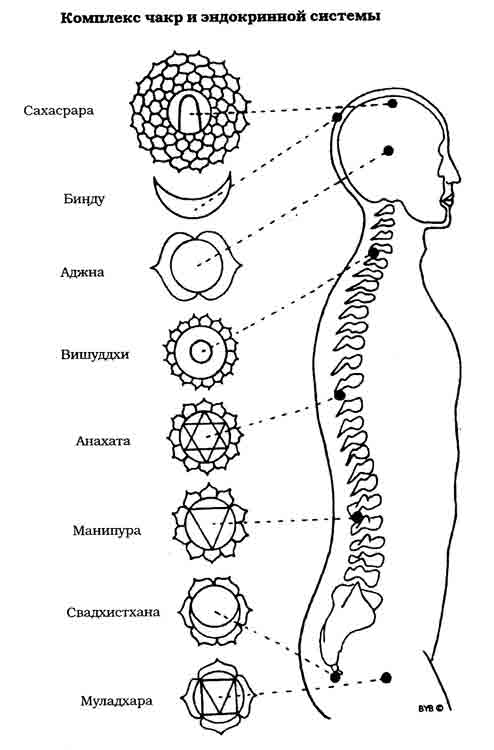 Чакры по new-age